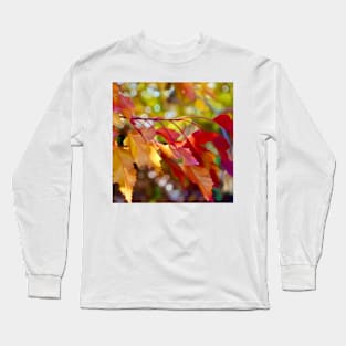 Autumn Morning Long Sleeve T-Shirt